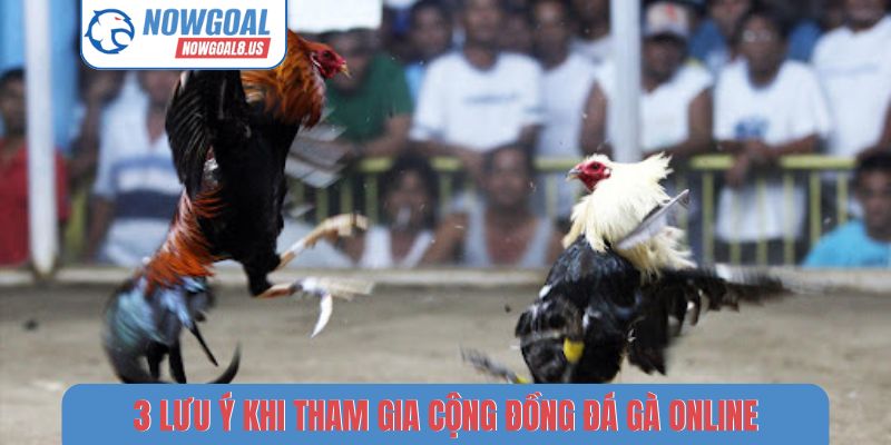 3 lưu ý khi tham gia cộng đồng đá gà online