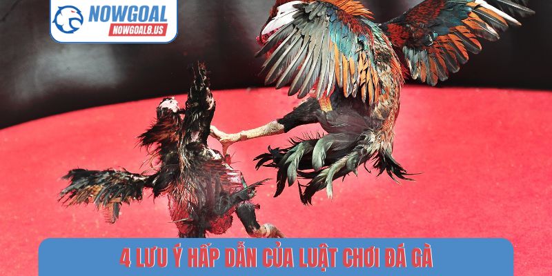 4 lưu ý hấp dẫn của luật chơi đá gà