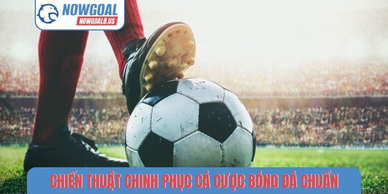 Cược Live - Nghệ Thuật Đọc Vị Trận Đấu Bóng Đá Nowgoal Chiến thuật chinh phục cá cược bóng đá chuẩn