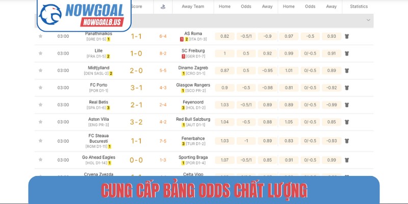 Cung cấp bảng odds chất lượng