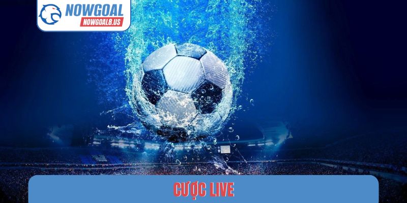 Cược Live - Nghệ Thuật Đọc Vị Trận Đấu Bóng Đá Nowgoal Cược Live