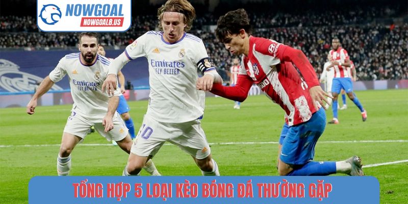 Tổng hợp 5 loại kèo bóng đá thường gặp