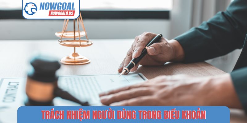 Trách nhiệm người dùng trong điều khoản