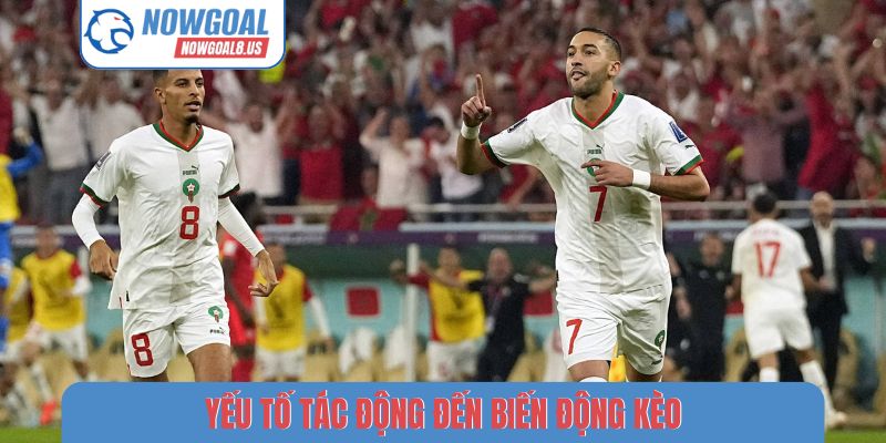 Yếu tố tác động đến biến động kèo