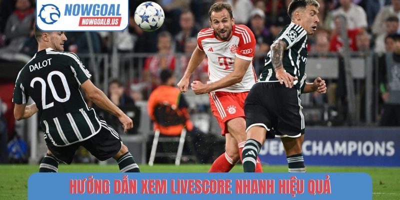 Hướng dẫn xem livescore nhanh hiệu quả